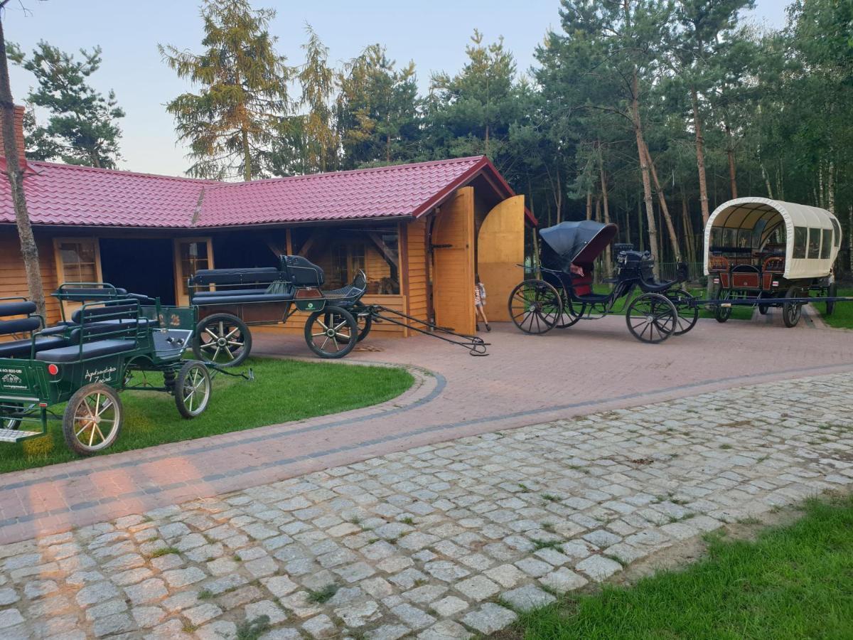 Вілла Osrodek Agroturystyczny Zacisze Giewartow Екстер'єр фото